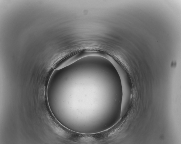 X0000089370397200706221225