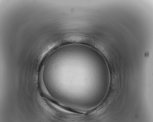 X0000089370399200706221225