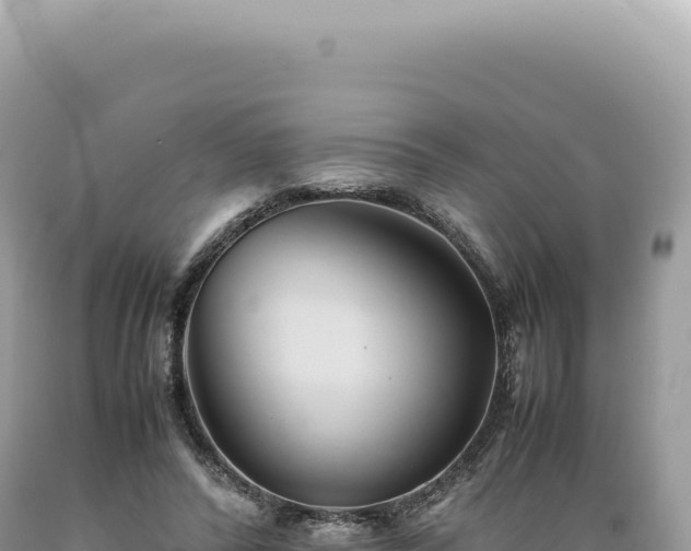 X0000089370400200706221225