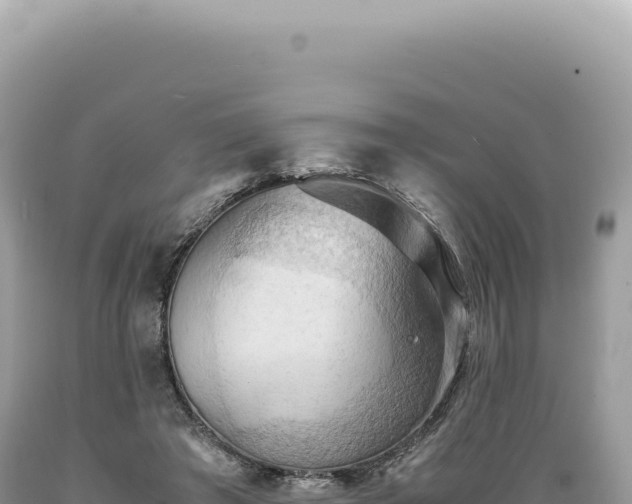 X0000089370401200706221225