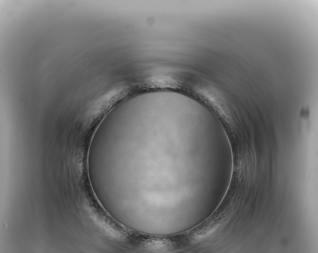 X0000089370402200706221225