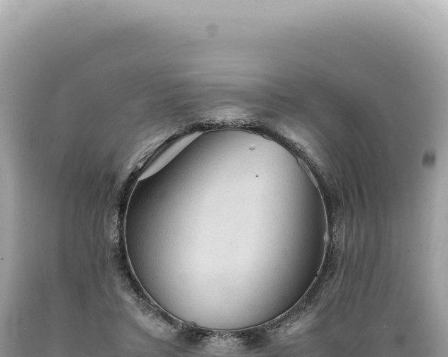 X0000089370403200706221225