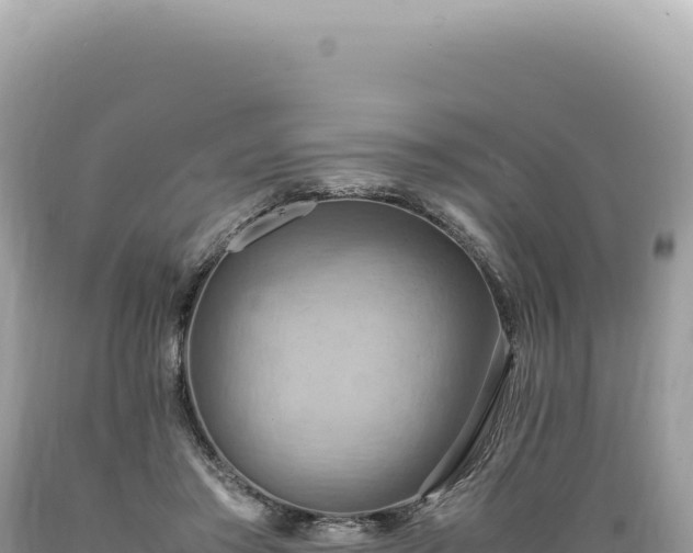 X0000089370405200706221225
