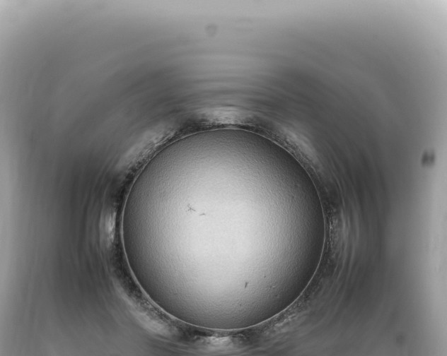 X0000089370406200706221225
