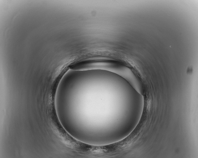 X0000089370407200706221225