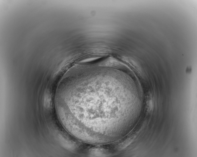 X0000089370408200706221225