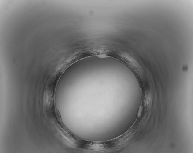 X0000089370409200706221225