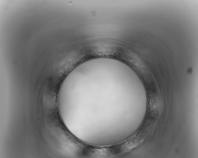 X0000089370411200706221225