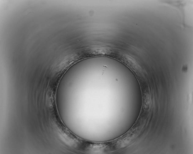 X0000089370414200706221225