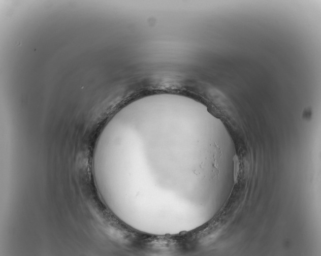 X0000089370415200706221225