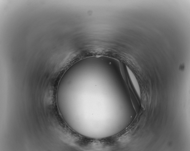 X0000089370416200706221225