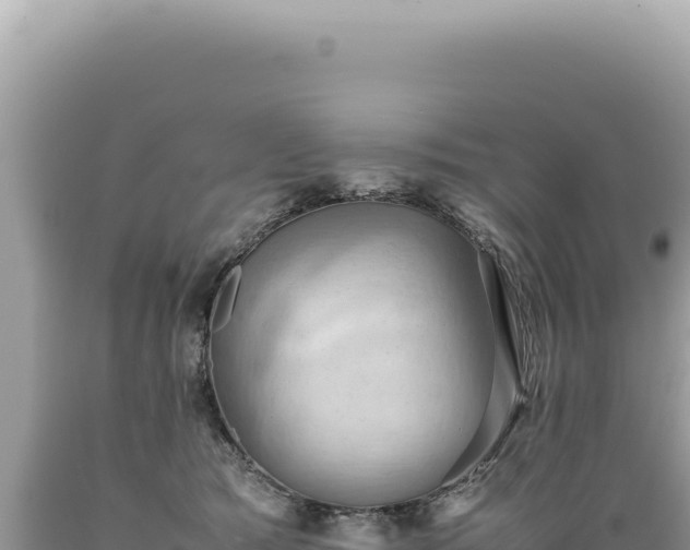 X0000089370417200706221225