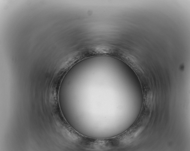 X0000089370418200706221225