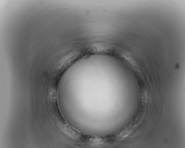 X0000089370419200706221225