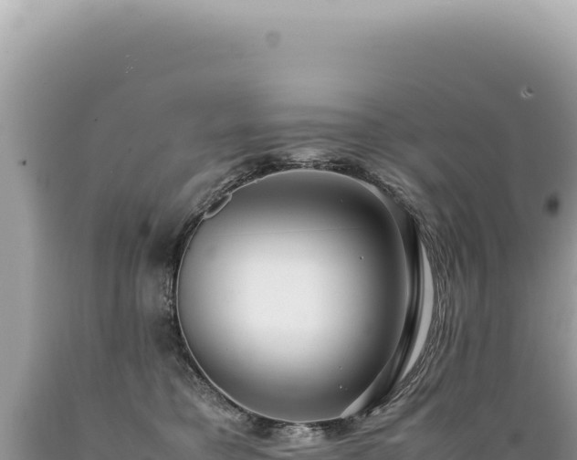 X0000089370421200706221225