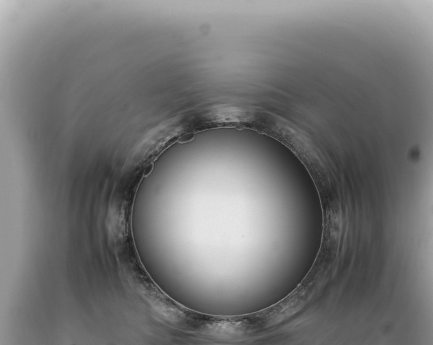 X0000089370422200706221225