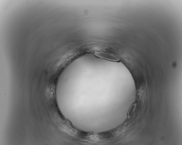 X0000089370423200706221225