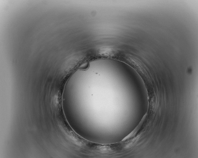 X0000089370424200706221225