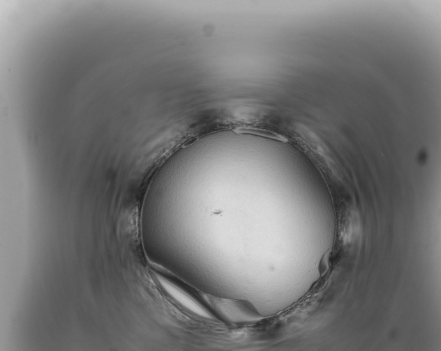 X0000089370425200706221225