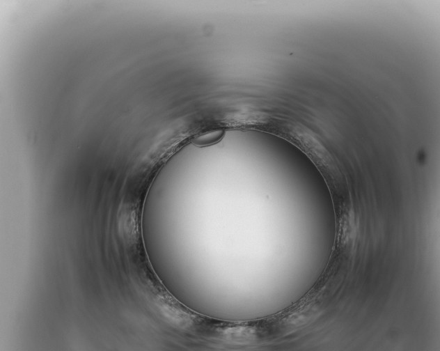 X0000089370426200706221225