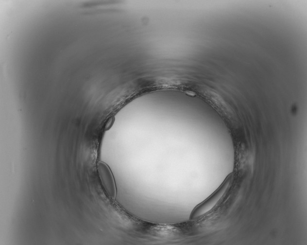 X0000089370427200706221225