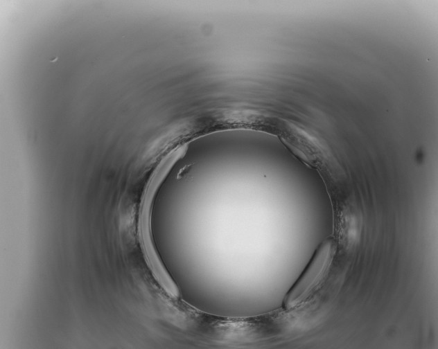 X0000089370428200706221225