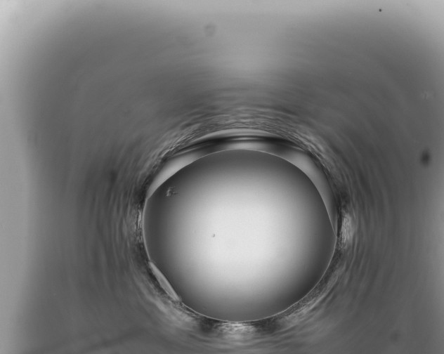 X0000089370429200706221225