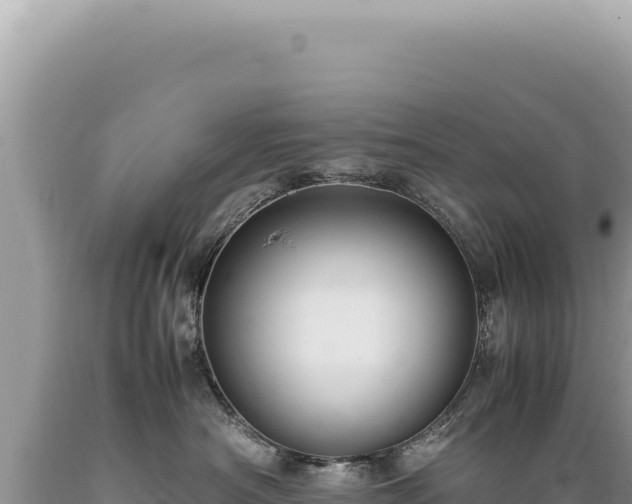 X0000089370430200706221225