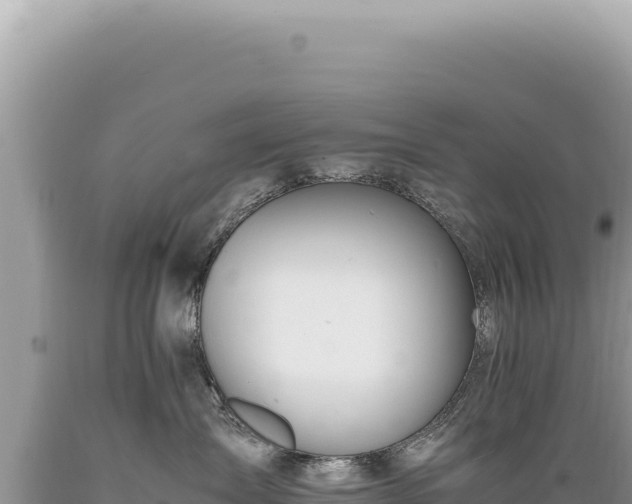 X0000089370431200706221225