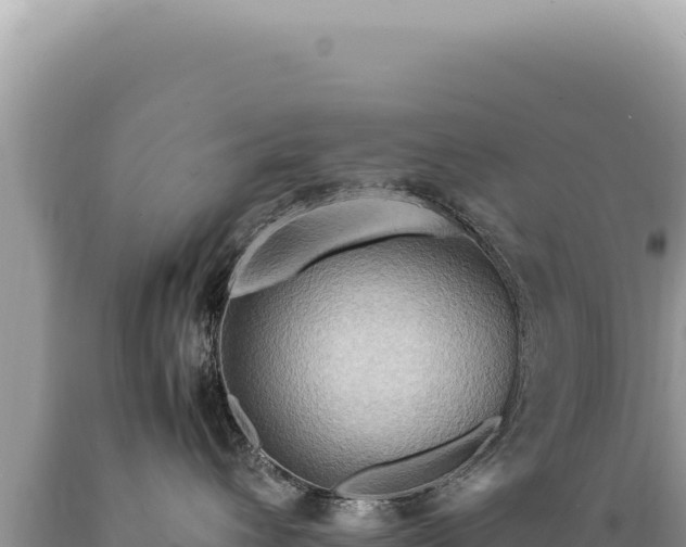 X0000089370432200706221225