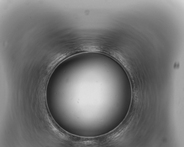 X0000089370433200706221224
