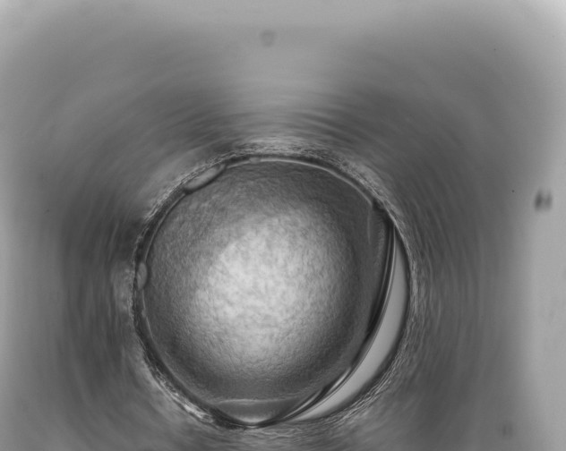 X0000089370434200706221224