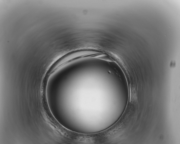 X0000089370435200706221224