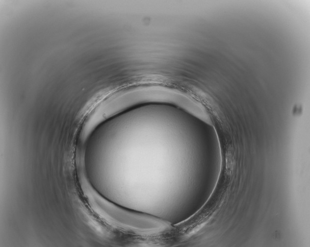 X0000089370436200706221224