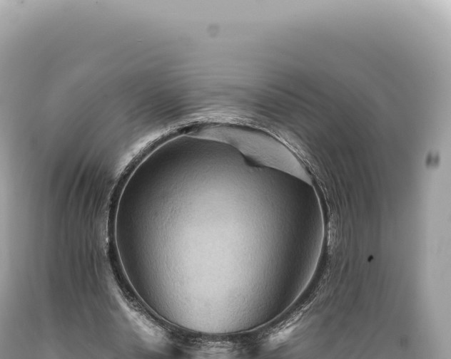 X0000089370438200706221224