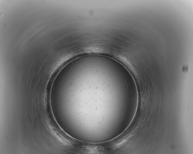 X0000089370439200706221225