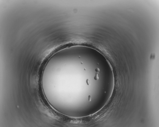 X0000089370440200706221225