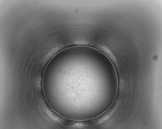 X0000089370441200706221225