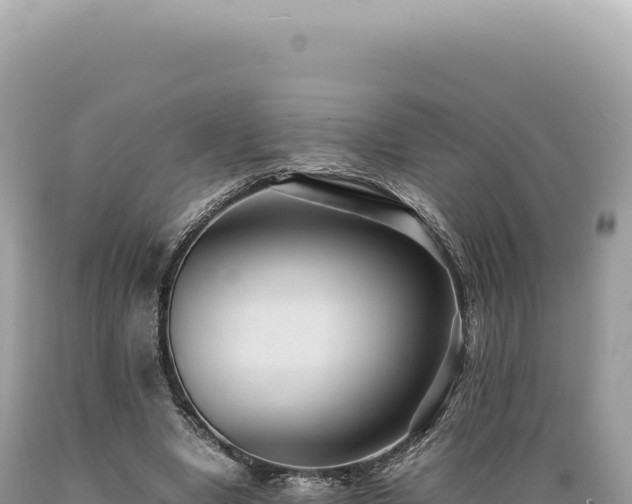 X0000089370442200706221225