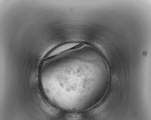 X0000089370443200706221225