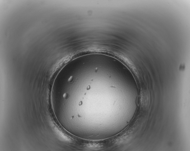X0000089370445200706221225