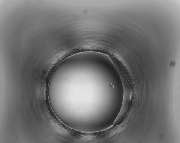 X0000089370446200706221225