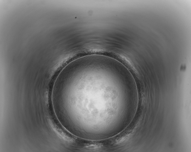 X0000089370447200706221225