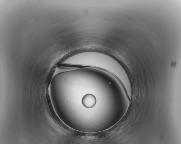 X0000089370448200706221225