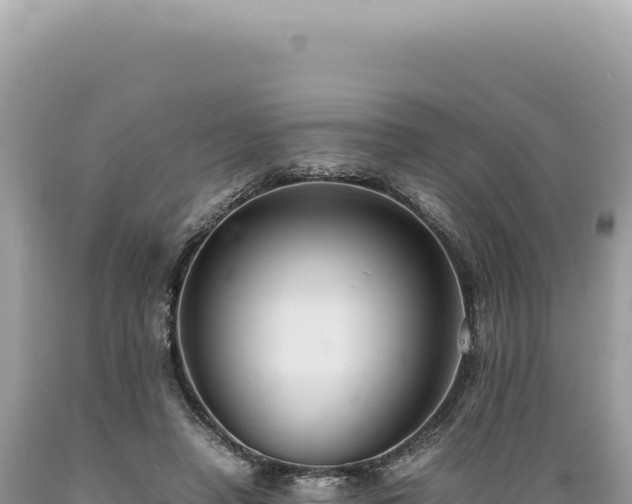 X0000089370450200706221225