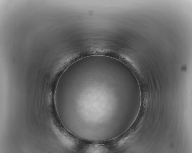 X0000089370451200706221225