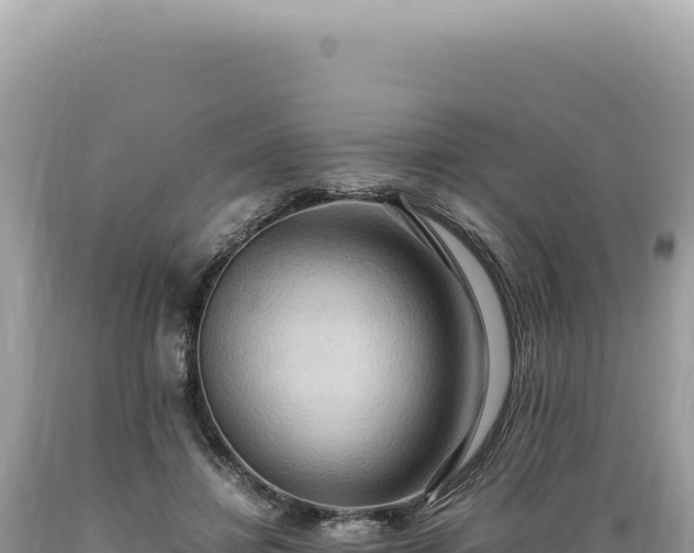X0000089370452200706221225