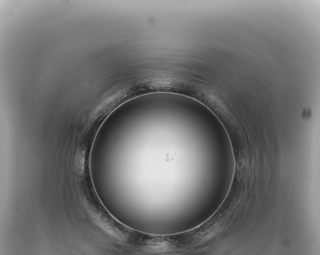 X0000089370454200706221225