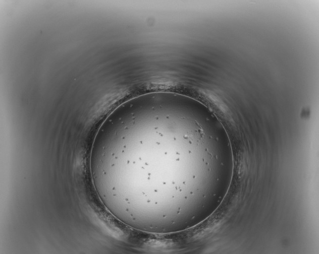 X0000089370455200706221225