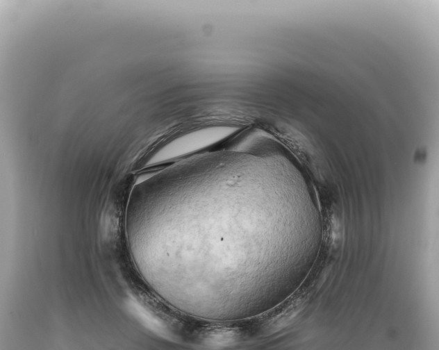 X0000089370456200706221225